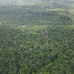 listing image thumbnail with ID 52928