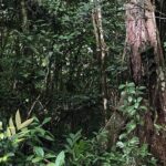 listing image thumbnail with ID 54198