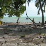 listing image thumbnail with ID 53540