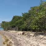 listing image thumbnail with ID 54643