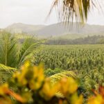 listing image thumbnail with ID 53921