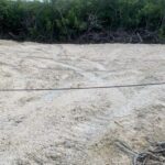 listing image thumbnail with ID 53297