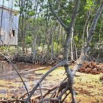 listing image thumbnail with ID 53212