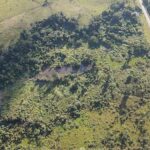 listing image thumbnail with ID 53363