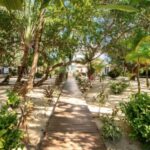 listing image thumbnail with ID 54533