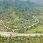 listing image thumbnail with ID 54093