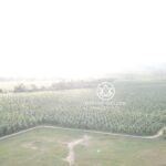 listing image thumbnail with ID 52225