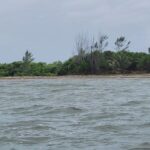 listing image thumbnail with ID 52953