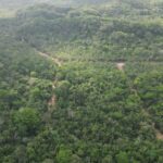 listing image thumbnail with ID 52926