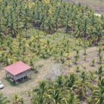 listing image thumbnail with ID 52827