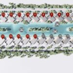 listing image thumbnail with ID 51840