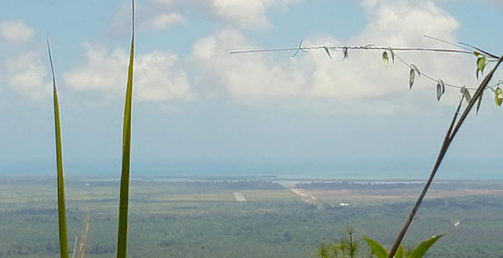 listing image with ID 52305
