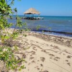 listing image thumbnail with ID 52449