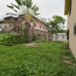 listing image thumbnail with ID 51706