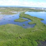 listing image thumbnail with ID 53108