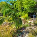 listing image thumbnail with ID 52265