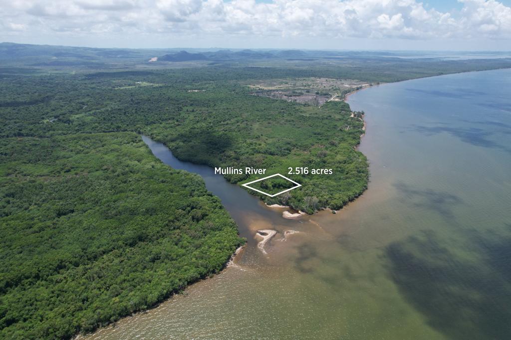 listing image with ID 55740