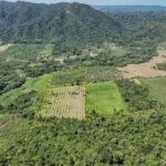 listing image thumbnail with ID 56199