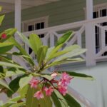 listing image thumbnail with ID 54566