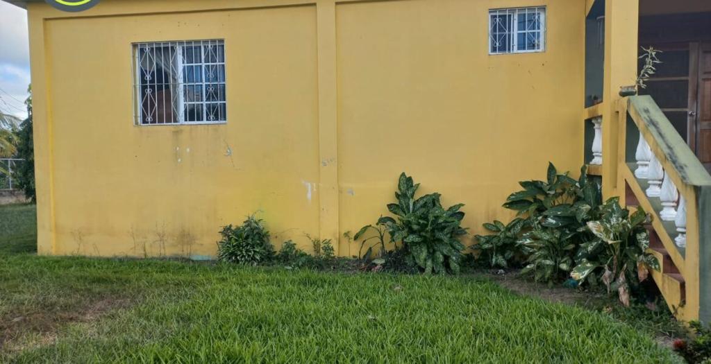 listing image with ID 56183