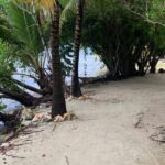 listing image thumbnail with ID 54248