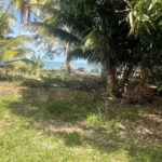 listing image thumbnail with ID 54694