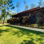 listing image thumbnail with ID 53176