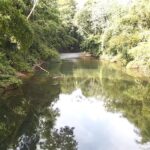 listing image thumbnail with ID 56388