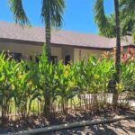 listing image thumbnail with ID 55618