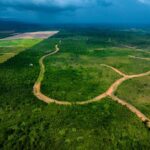 listing image thumbnail with ID 55937