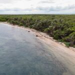 listing image thumbnail with ID 54297