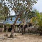 listing image thumbnail with ID 51256