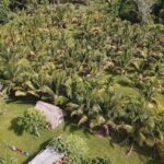 listing image thumbnail with ID 56385