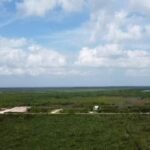 listing image thumbnail with ID 52750