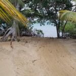 listing image thumbnail with ID 54454