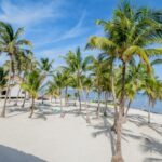 listing image thumbnail with ID 51918