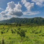 listing image thumbnail with ID 56203