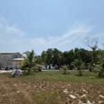 listing image thumbnail with ID 53209