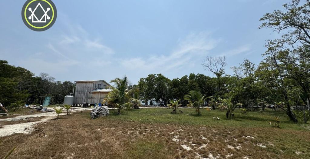 listing image with ID 53209