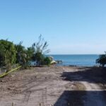 listing image thumbnail with ID 54009