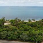 listing image thumbnail with ID 51220