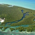 listing image thumbnail with ID 52625