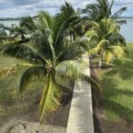 listing image thumbnail with ID 53429