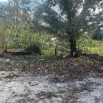 listing image thumbnail with ID 54695