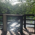 listing image thumbnail with ID 53153