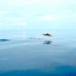 listing image thumbnail with ID 54290