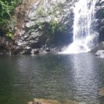 listing image thumbnail with ID 52468