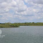 listing image thumbnail with ID 53957