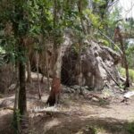 listing image thumbnail with ID 54095