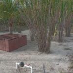 listing image thumbnail with ID 54151